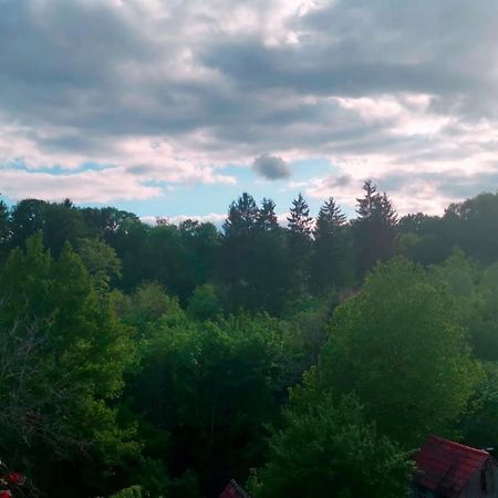 Ferienwohnung Im Manbach Freudenstadt Ngoại thất bức ảnh